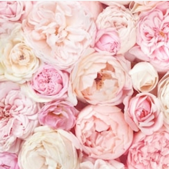 Meet your Posher, Shalant - Picture 1 of 1